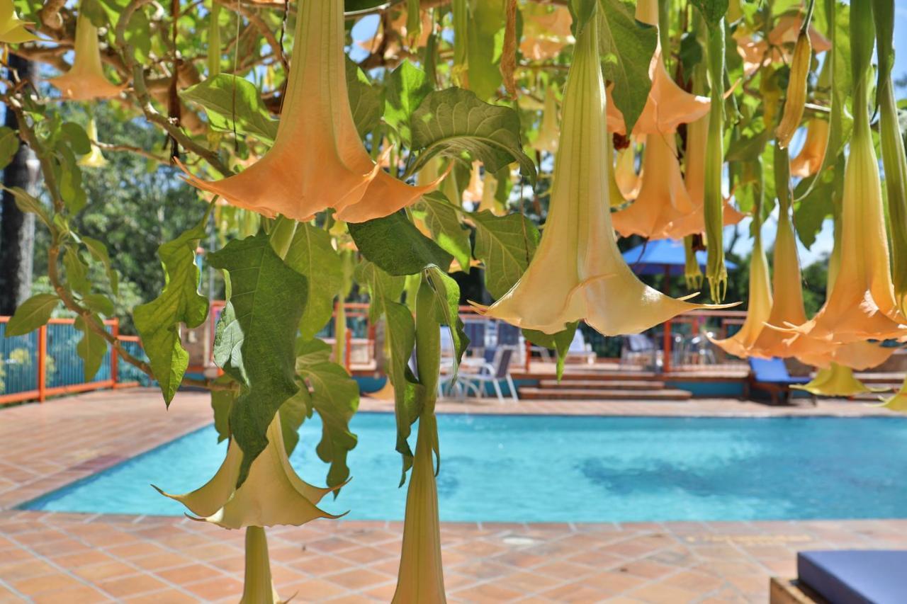 Hotel Campestre La Tata Montenegro Extérieur photo